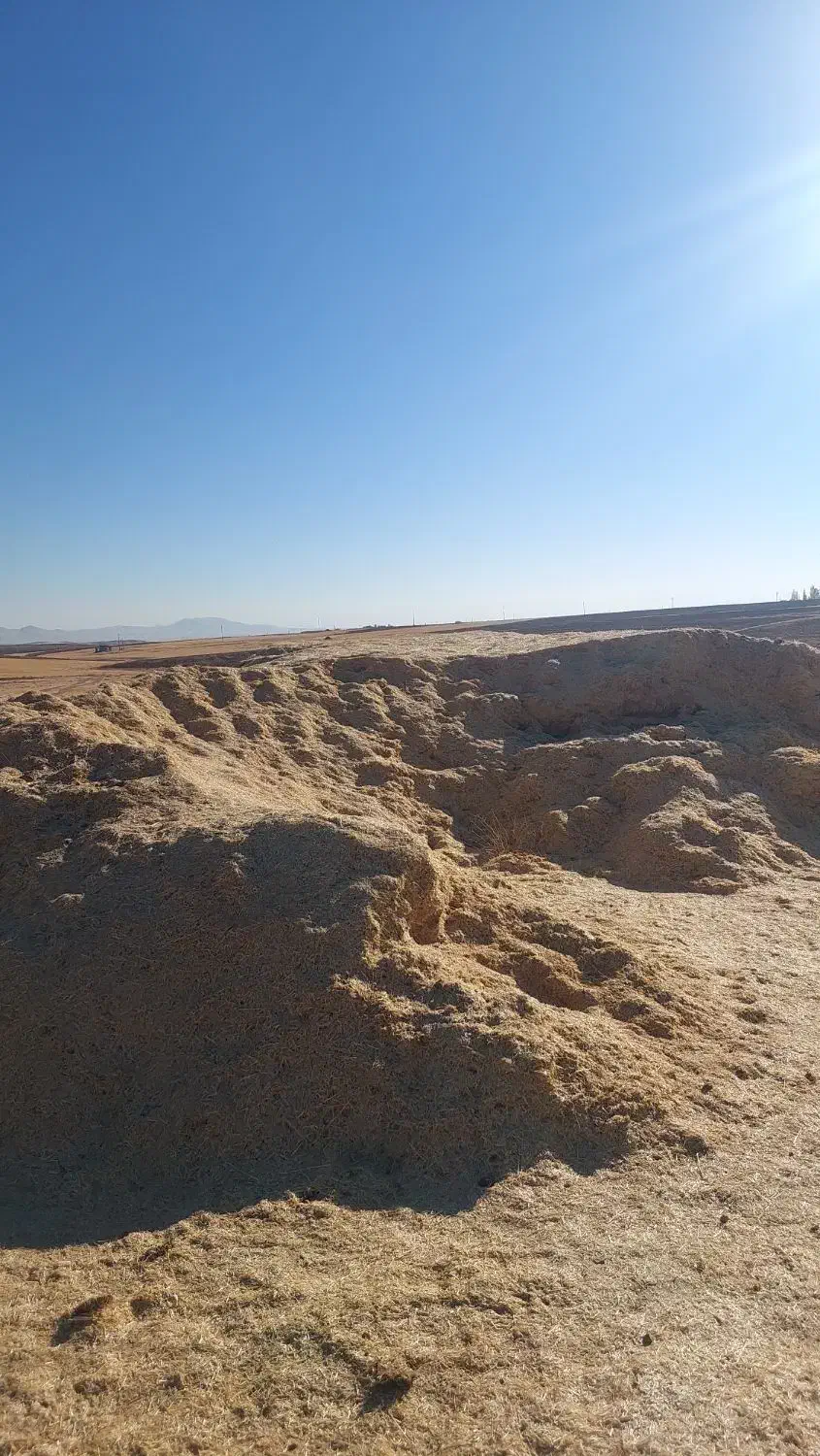 کاه گندم|لوازم جانبی حیوانات|حسین آباد, |دیوار