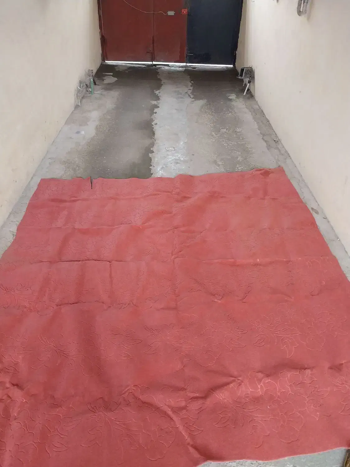 موکت|موکت|نوشهر, |دیوار