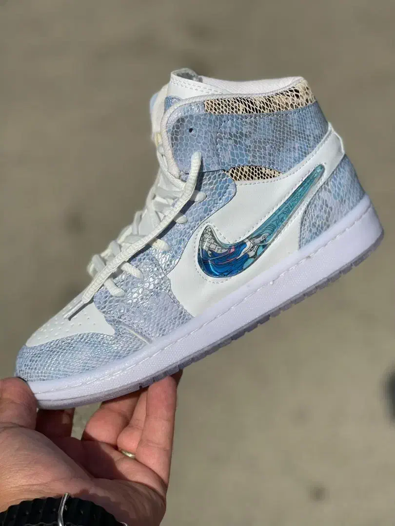 جردن دراگون سوسماری|کیف، کفش، کمربند|محمدیه-قزوین, |دیوار