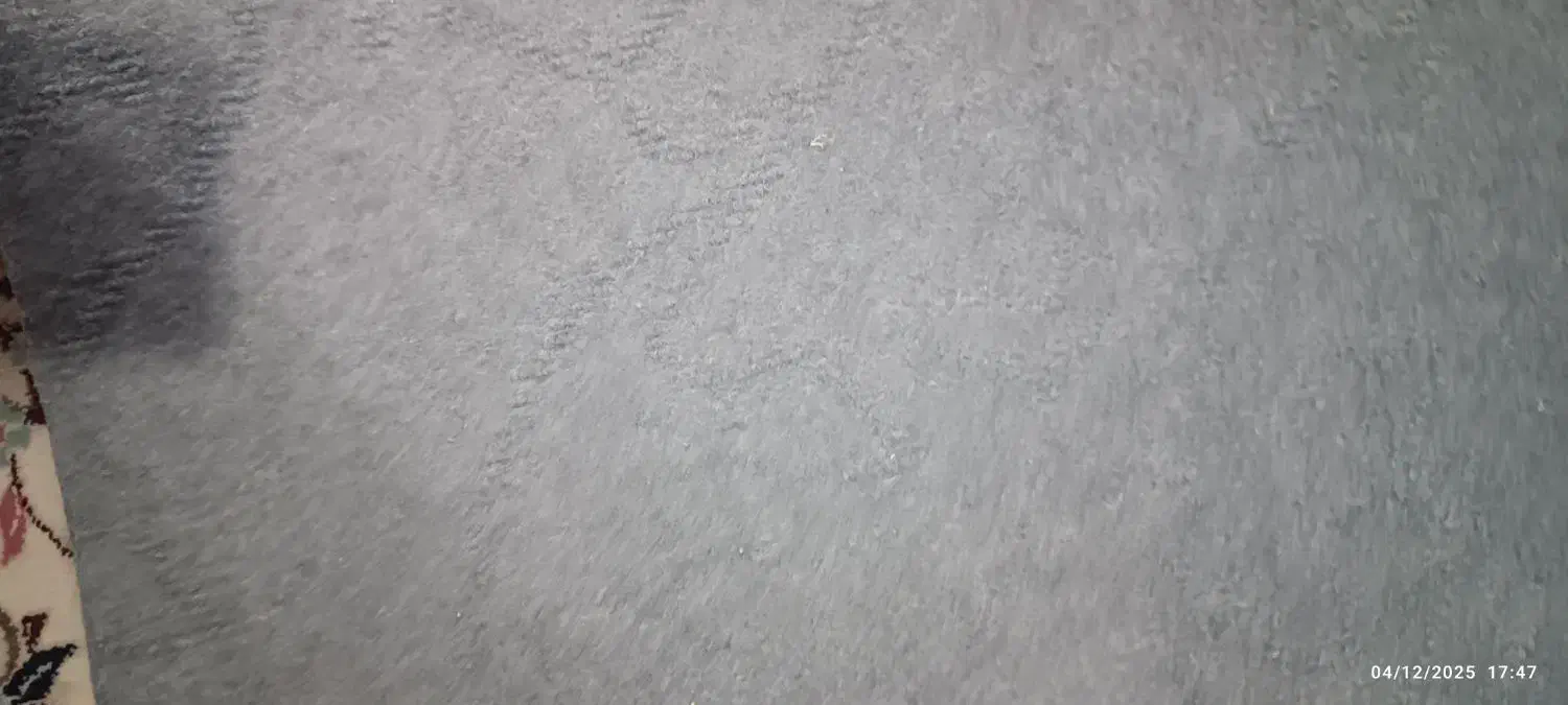 موکت|موکت|اراک, |دیوار