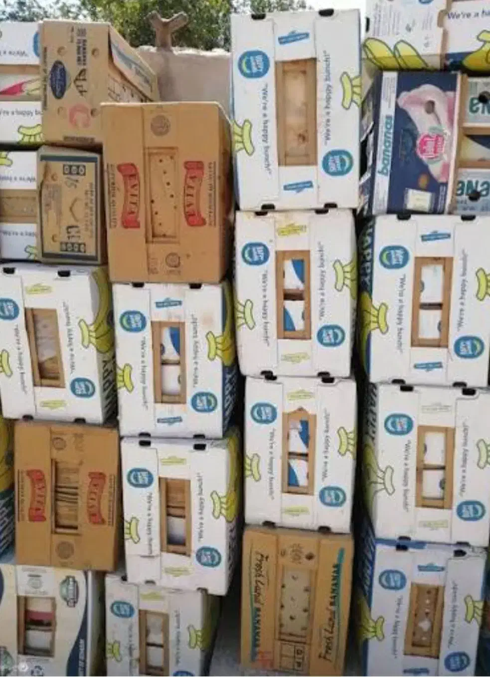 فروش کارتن موزی خریدکارتن|حراج|کرج, شهرک احمدیه‎|دیوار