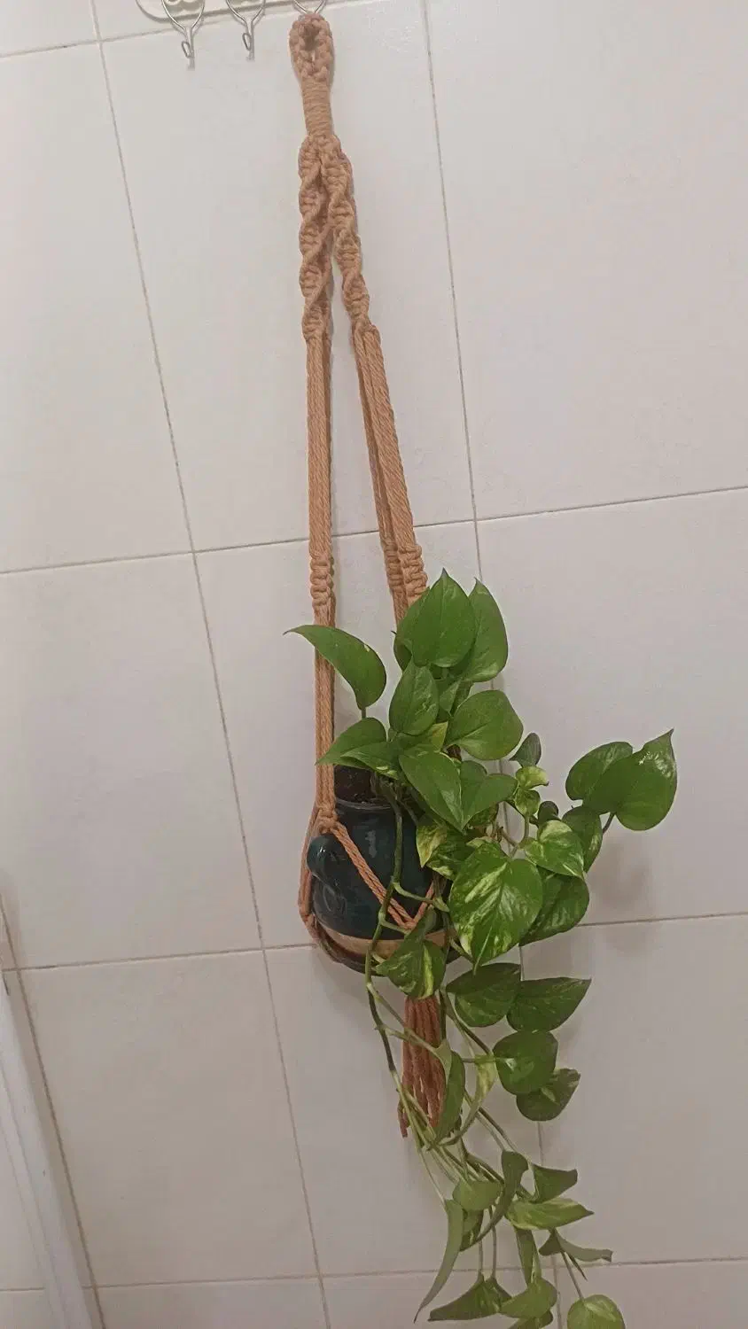 مکرومه بافی|صنایع دستی و سایر لوازم تزئینی|فولادشهر, مسکن مهر فولادشهر|دیوار