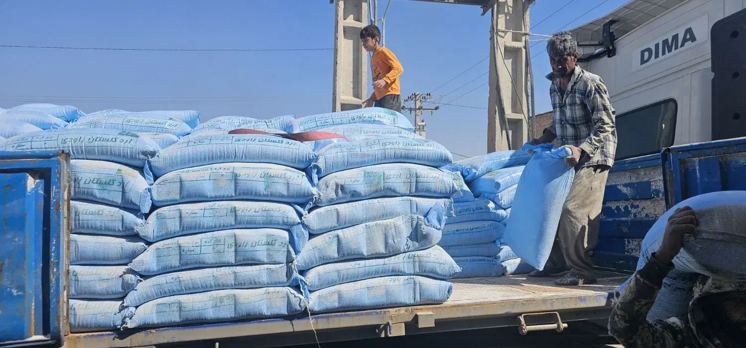 آرد گلستان|عمدهفروشی|زابل, |دیوار