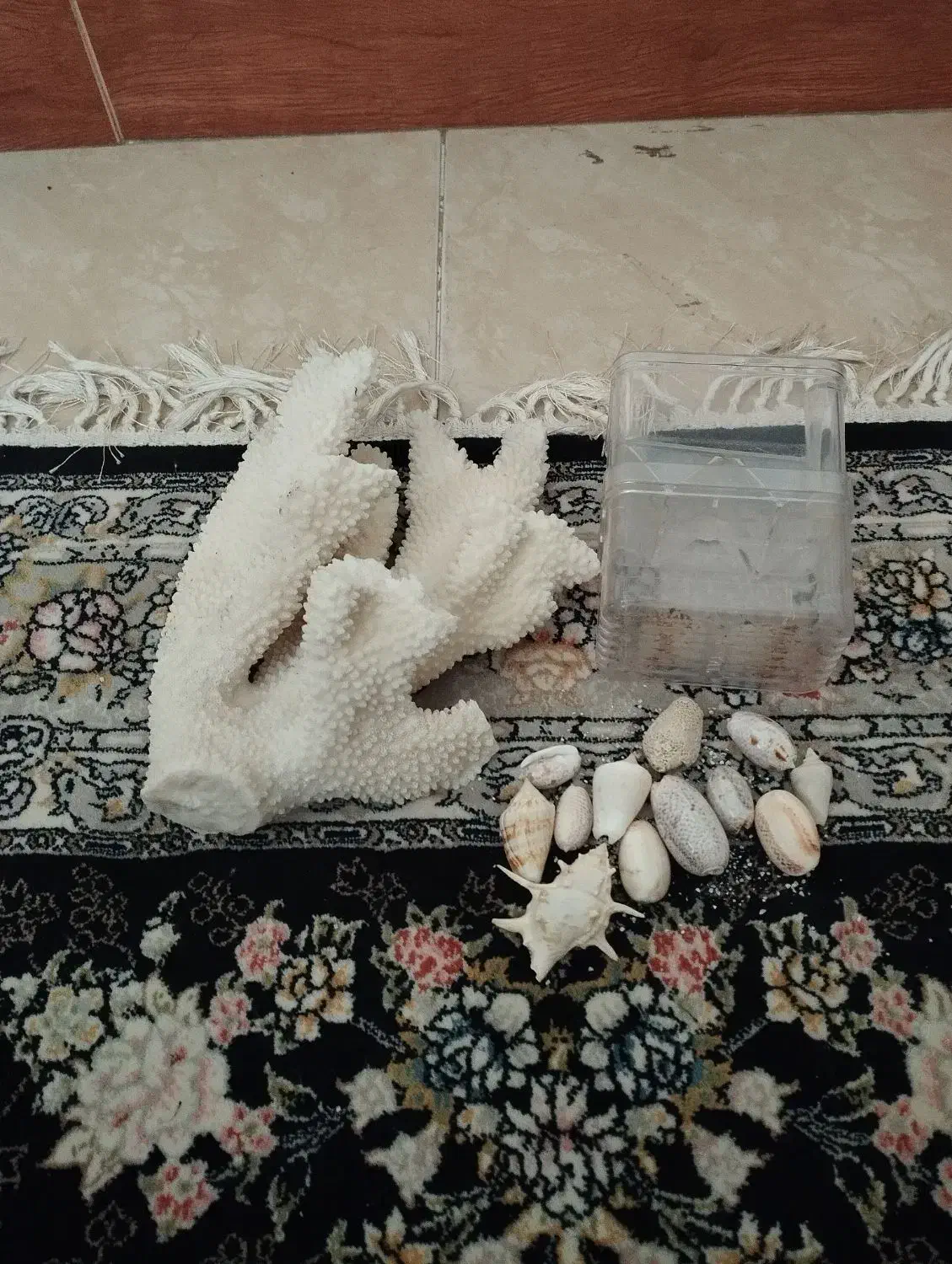 قیمت 500|ماهی|پاکدشت, شهرک امام رضا|دیوار