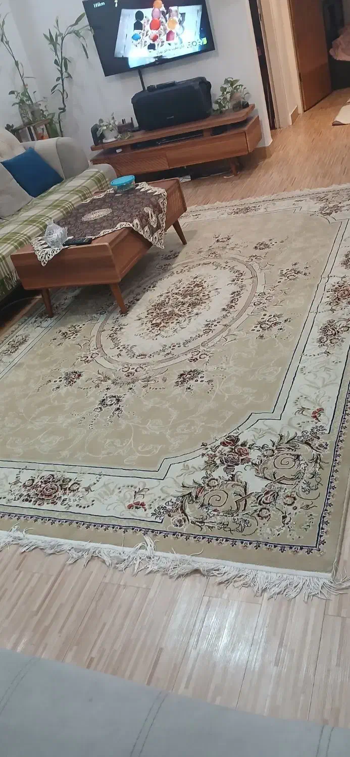 فرش ۶ متری فرش مشهد|فرش|رشت, معلم|دیوار