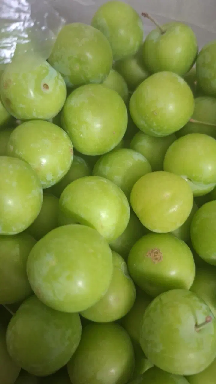 گوجه سبز|خوردنی و آشامیدنی|مشهد, شهید بهشتی|دیوار