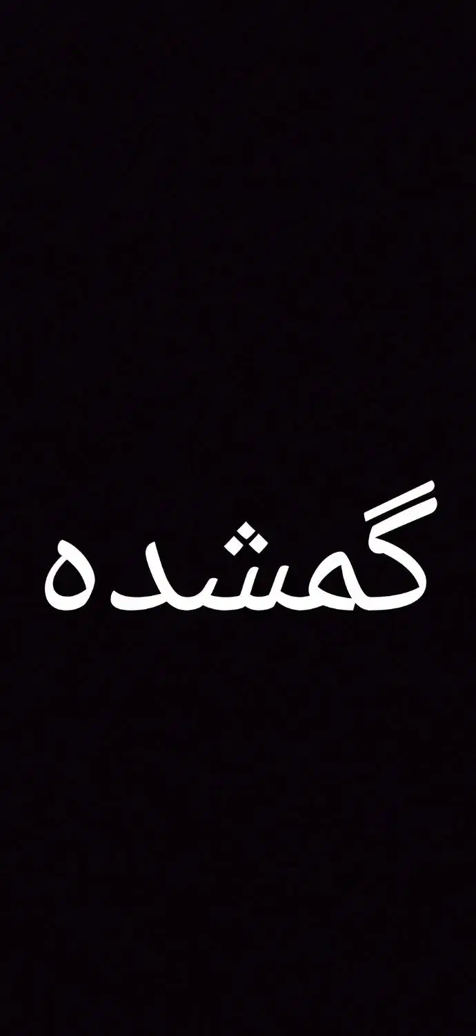 جاکارتی گمشده|اشیا|بیرجند, |دیوار