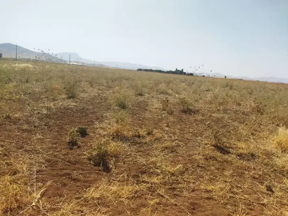 چاه عمیق کشاورزی اجاره ای|اجارهٔ دفتر صنعتی، کشاورزی، تجاری|دهگلان, |دیوار