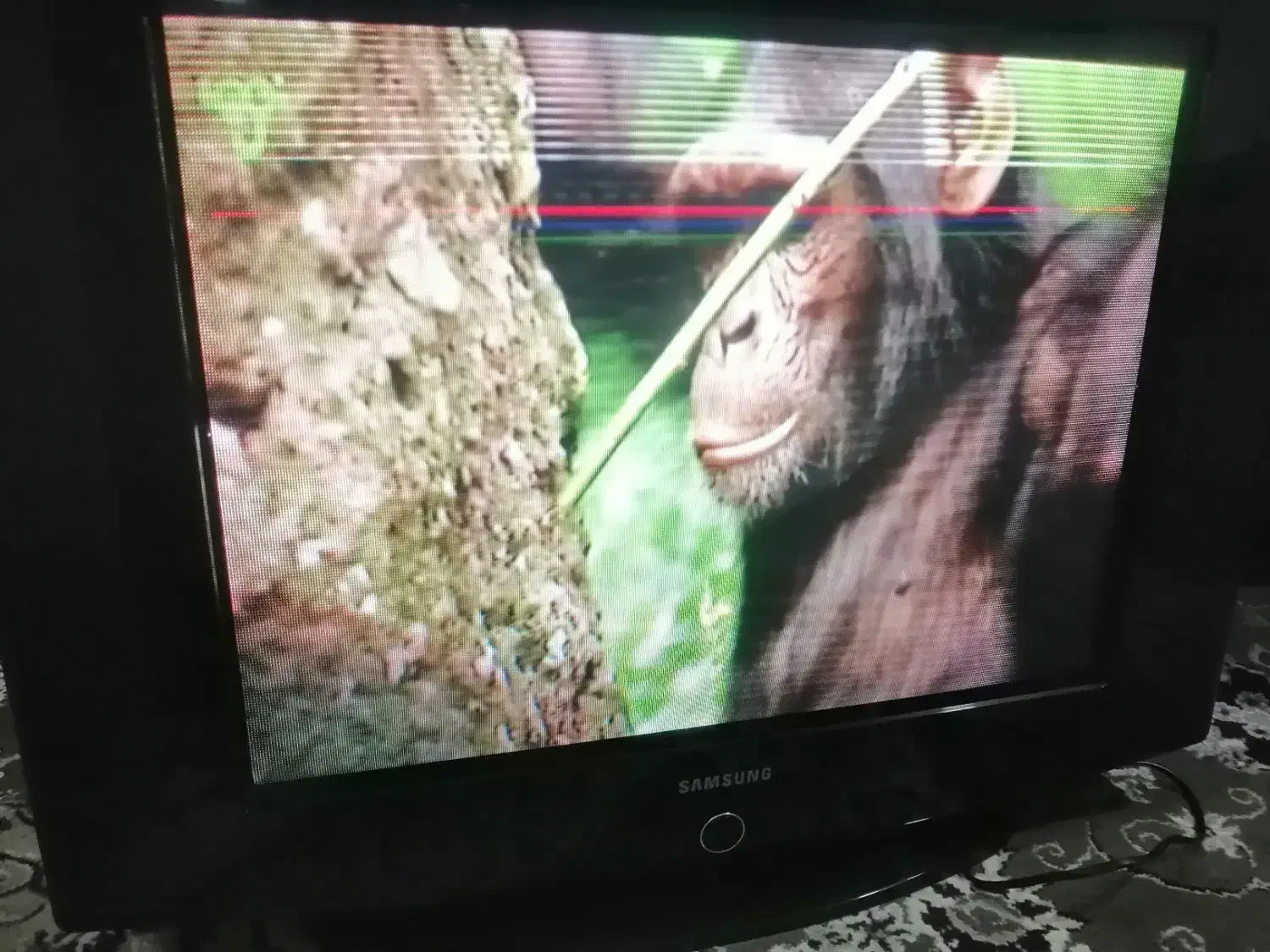 تلویزیون 31|تلویزیون و پروژکتور|گرگان, |دیوار