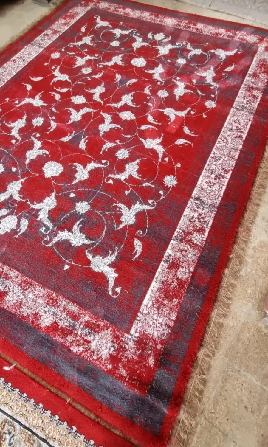 با بهترین شرایط درآذران فرش خریدکنید|فرش|اردبیل, |دیوار