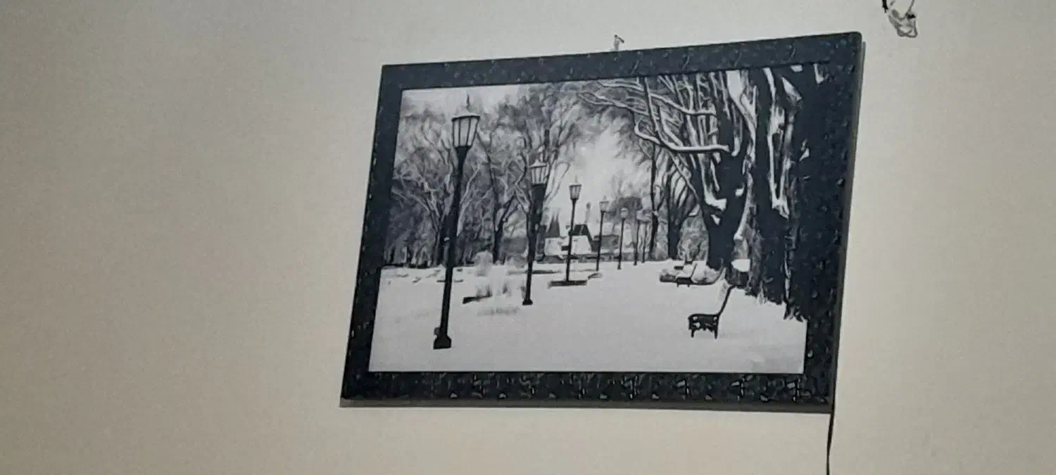 تابلو|ریسه و چراغ تزئینی|تویسرکان, |دیوار