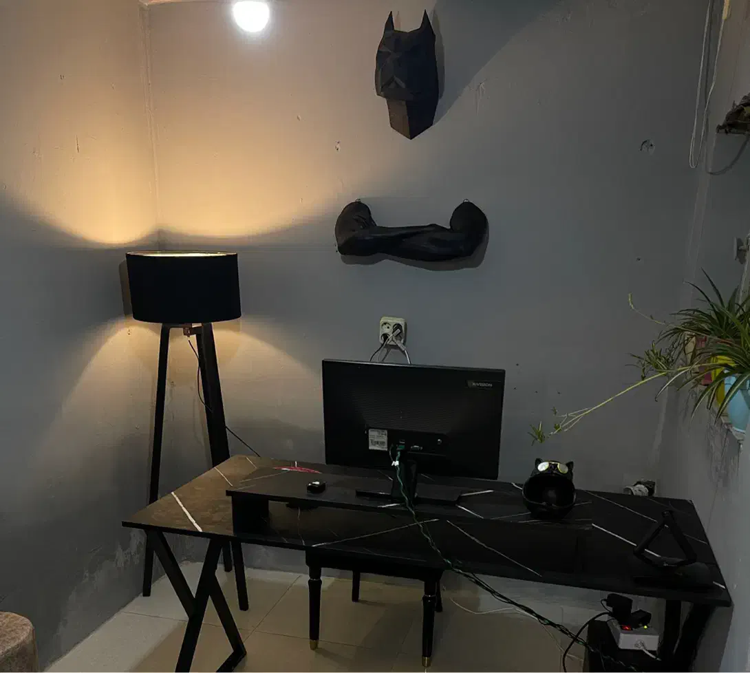 توله شیتزو تیکاپ|سگ|مشهد, وکیل‌آباد|دیوار