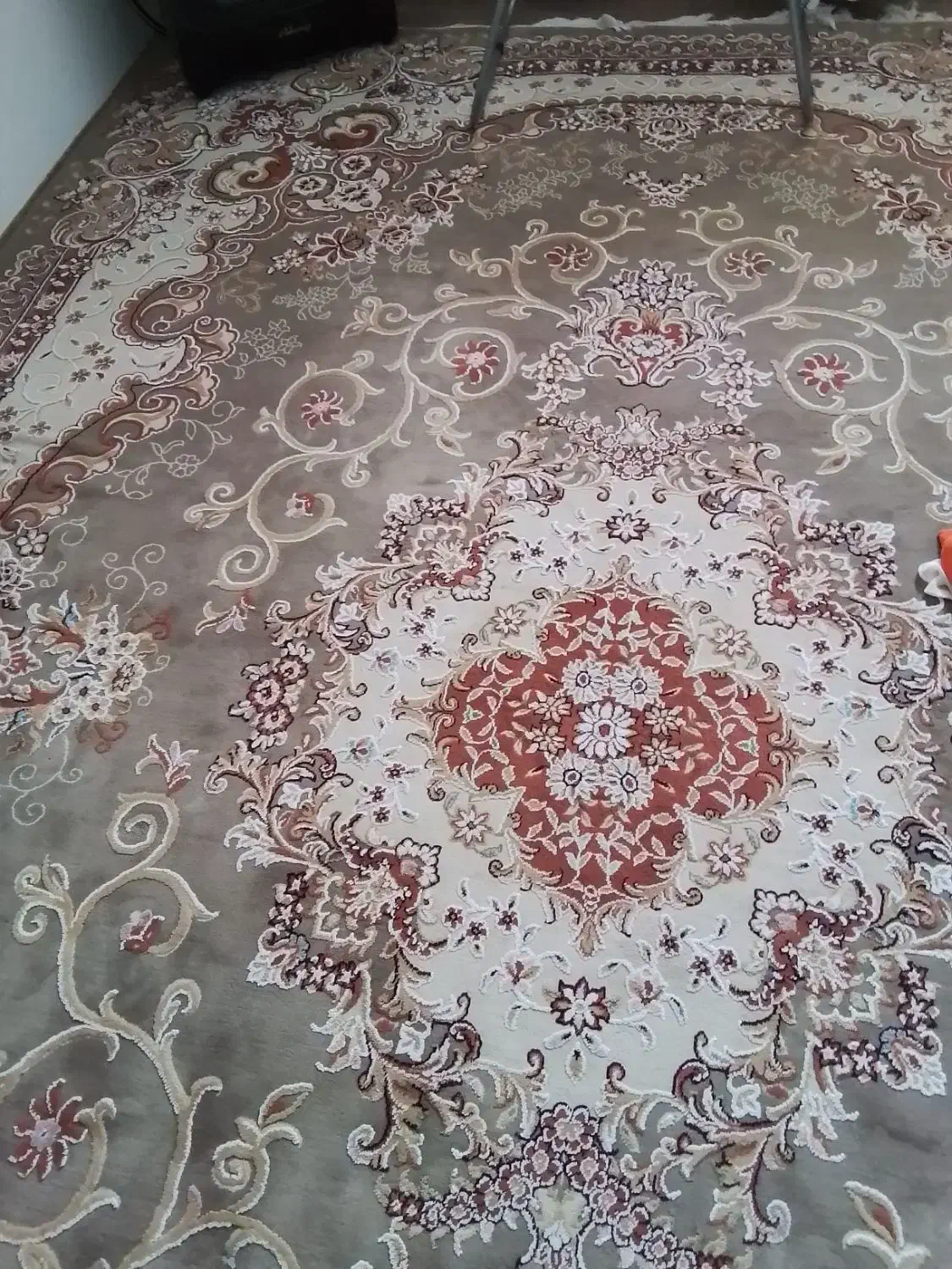 فرش ۹ متری|فرش|بندر انزلی, باغ زمانی|دیوار