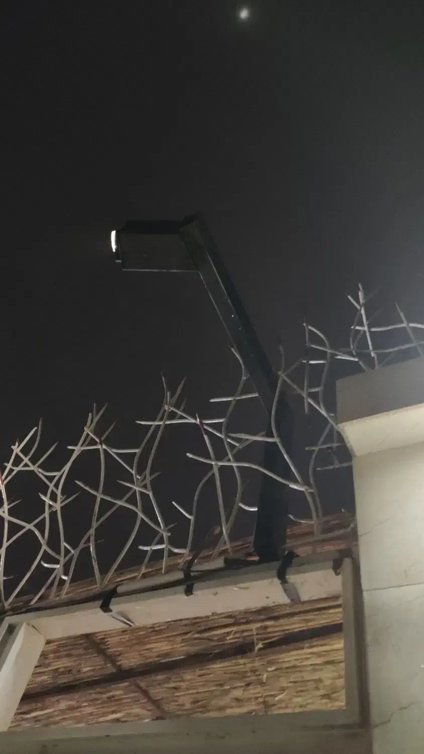 نصب و فروش تخصصی دوربین مداربسته در سراسر سیستان|دوربین مداربسته|زابل, |دیوار