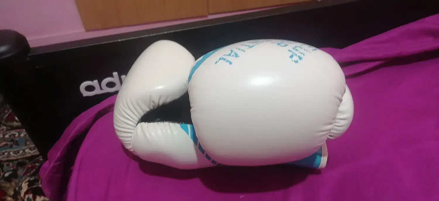 دستکش بوکس livepro نو|تجهیزات ورزشی|رامهرمز, |دیوار