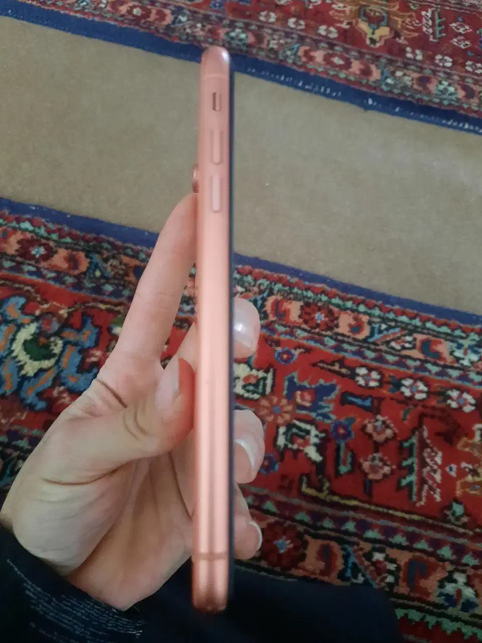 آیفون xr|موبایل|خوی, |دیوار