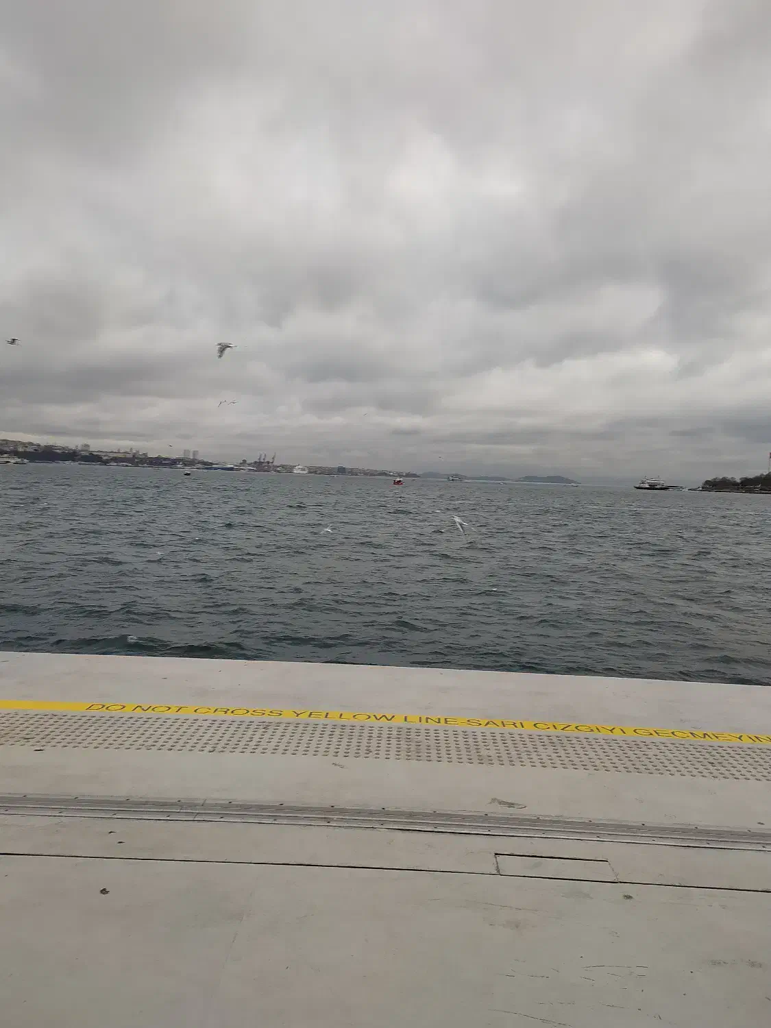 آموزش شنای خصوصی|خدمات آموزشی|بروجرد, |دیوار