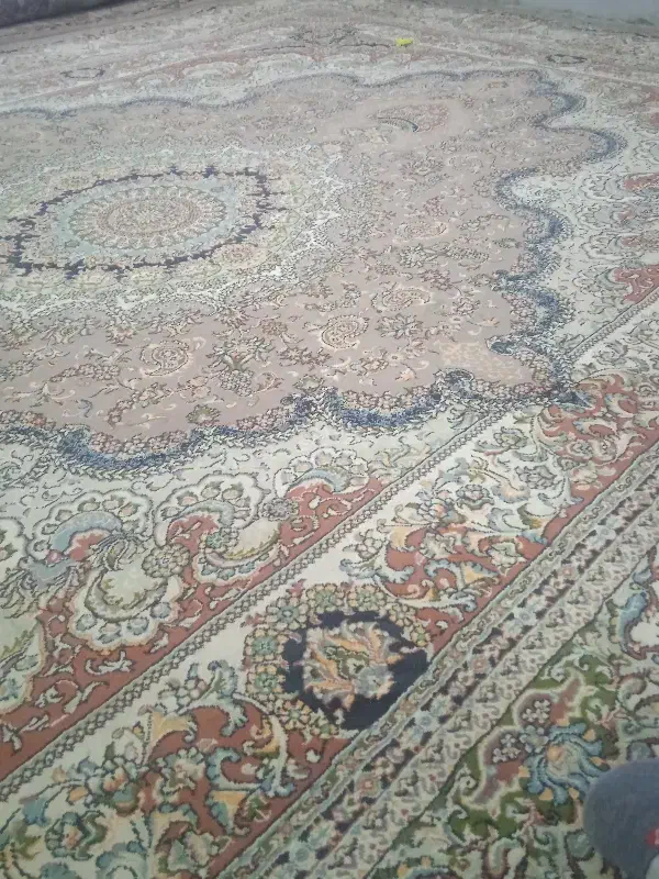 فرش|فرش|بیرجند, |دیوار