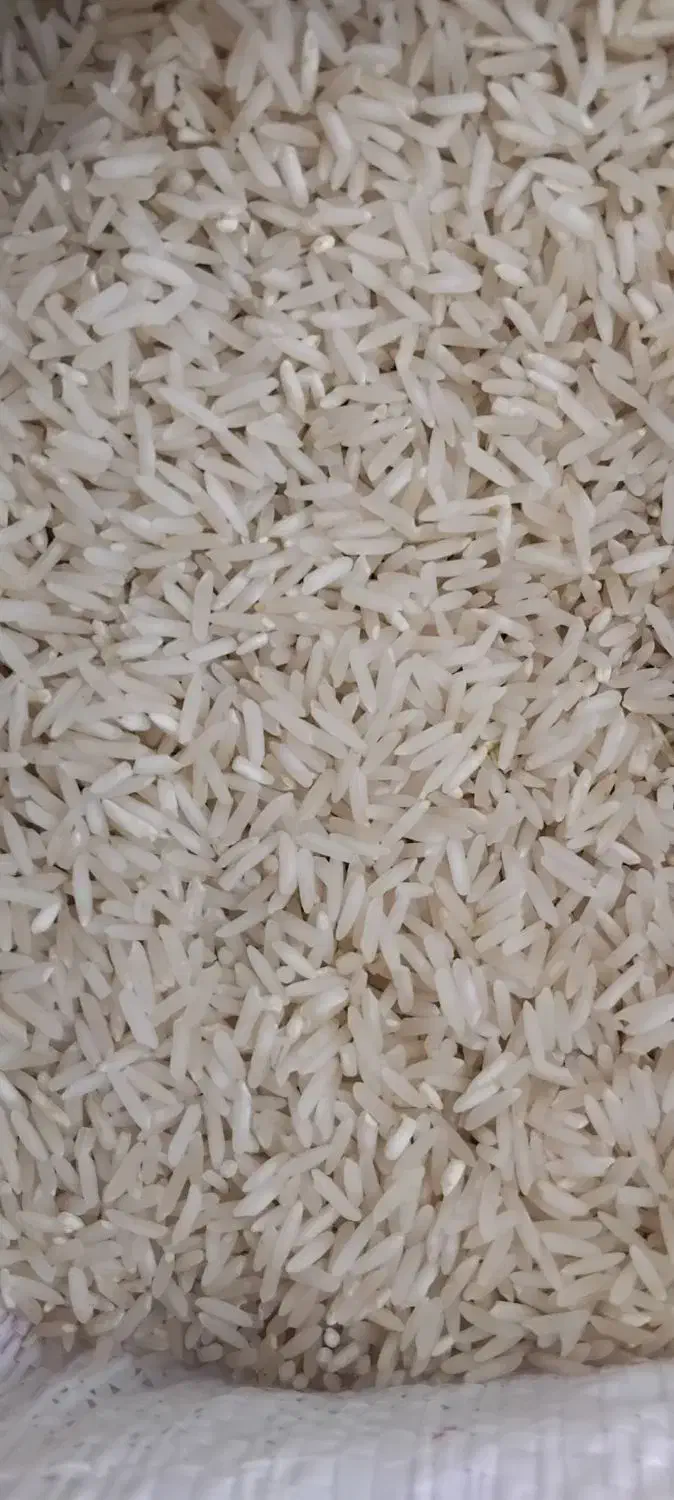 برنج طارم عطری|خوردنی و آشامیدنی|سیروان, |دیوار