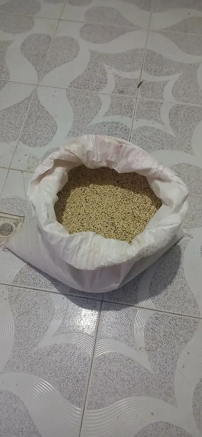 جو سالم|خوردنی و آشامیدنی|ایجرود, |دیوار