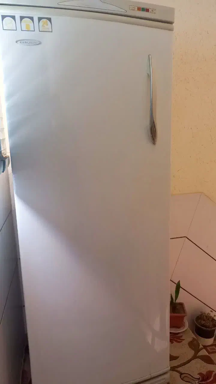 یخچال فریزر Golsan (گلسان) تمیز|یخچال و فریزر|فولادشهر, زاینده رود|دیوار