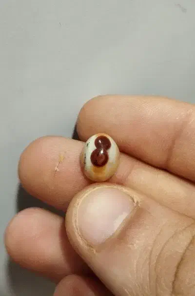 سلیمانی دو چشم|کلکسیون اشیاء عتیقه|بندر امام خمینی, |دیوار