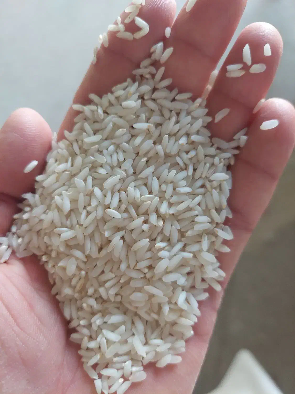 فروش برنج عنبر بو|خوردنی و آشامیدنی|اهواز, نادری|دیوار