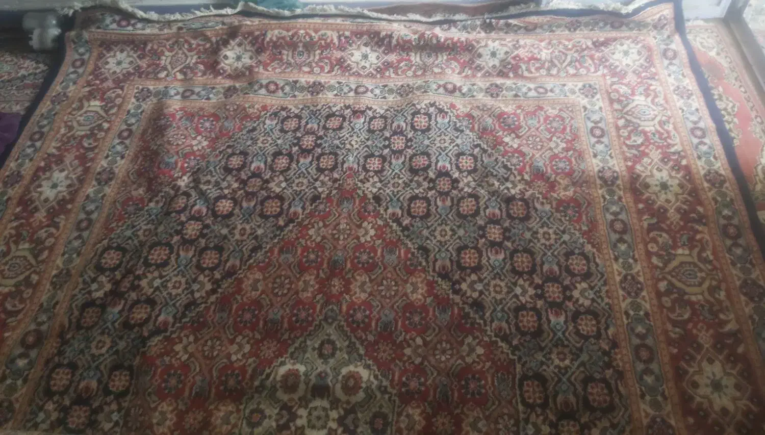 قالی تمیز و قشنگ|فرش|اهواز, چهارصد دستگاه|دیوار