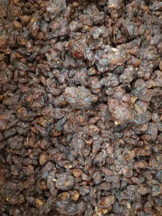 کشمش افتابی و گله کاشمری تربت جام|خوردنی و آشامیدنی|تربت جام, علوی|دیوار