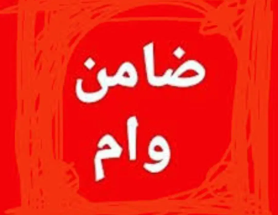 ضامن رتبه A - B|خدمات مالی، حسابداری، بیمه|قشم, |دیوار