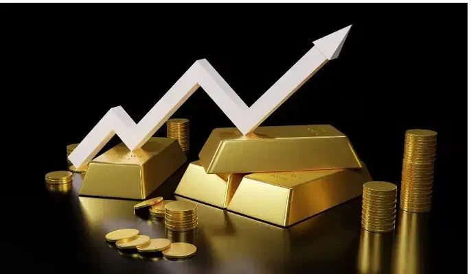 سرمایه گذاری فوق العاده|فعالیت داوطلبانه|بم, |دیوار