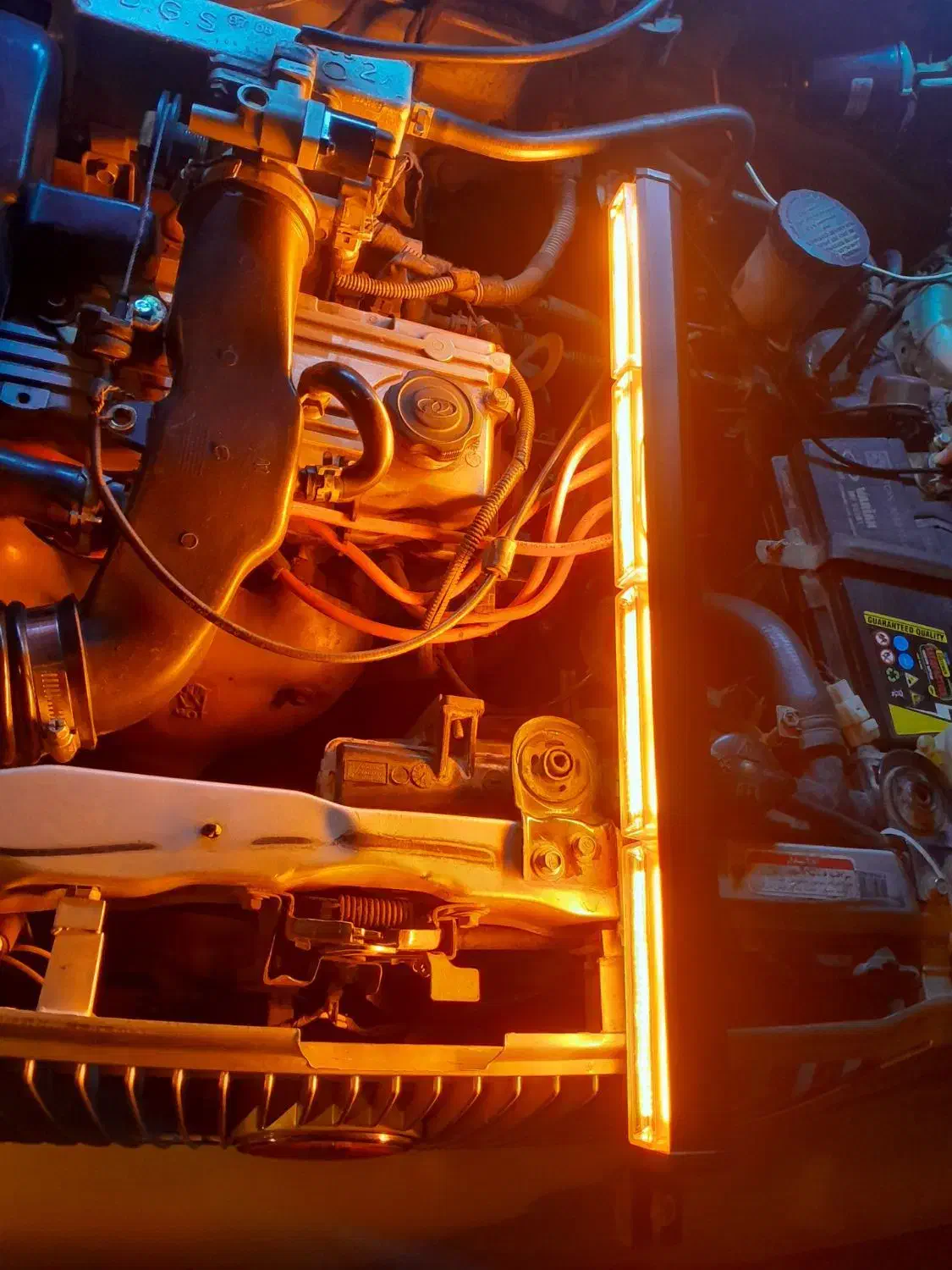 فدرال ۴ کانال|ریسه و چراغ تزئینی|گرگان, |دیوار