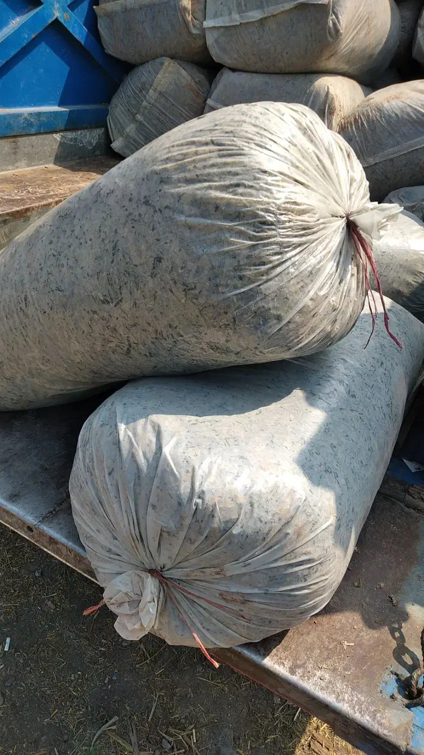 فروش سیلو درجه یک|حیوانات مزرعه|رشت, شهرک قدس|دیوار