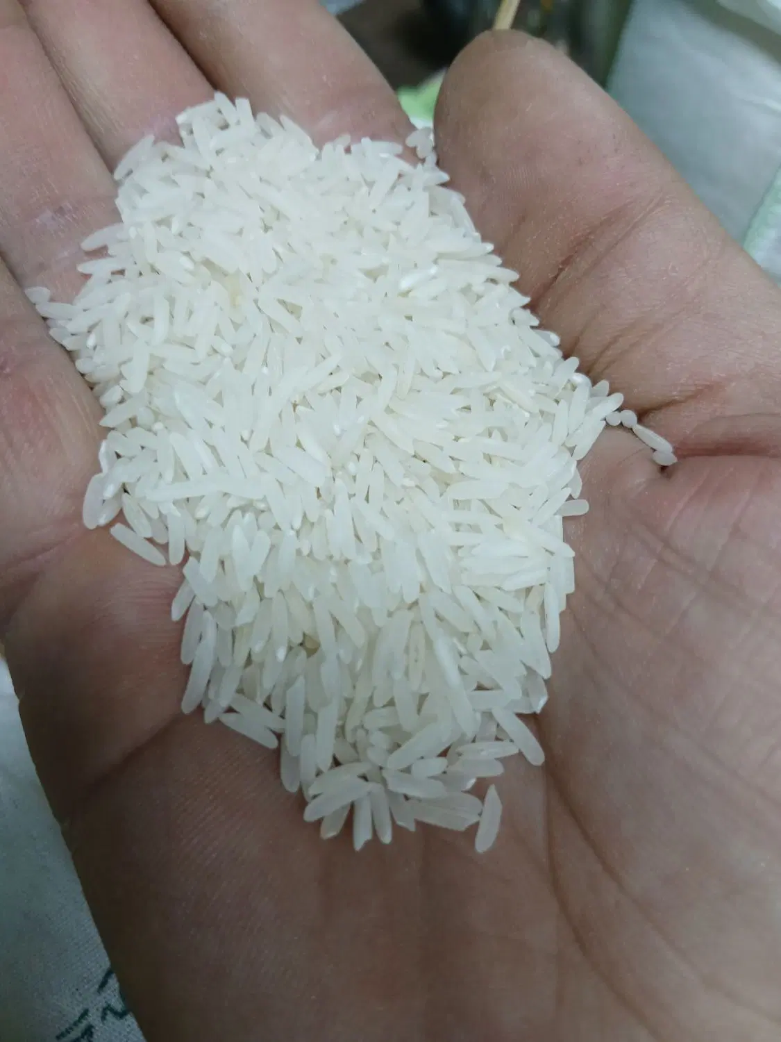 برنج|خوردنی و آشامیدنی|ملایر, |دیوار