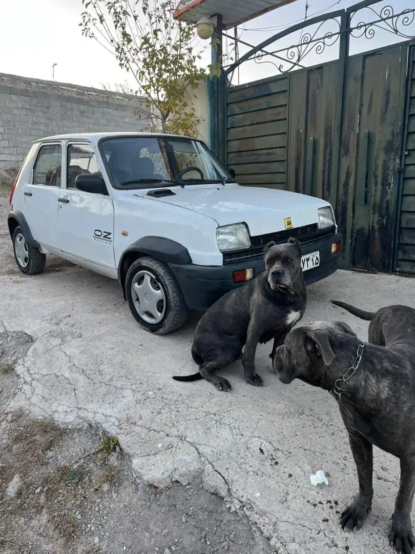 پی کی ۸۴ لوازمی|خودرو سواری و وانت|تبریز, |دیوار