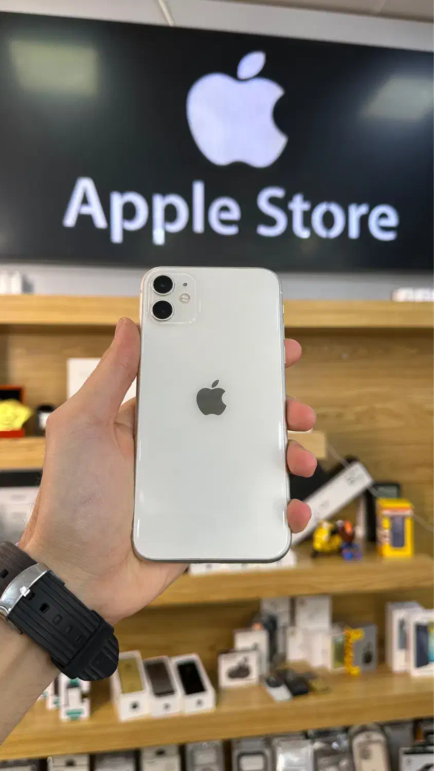 آیفون ۱۱|موبایل|ارومیه, |دیوار