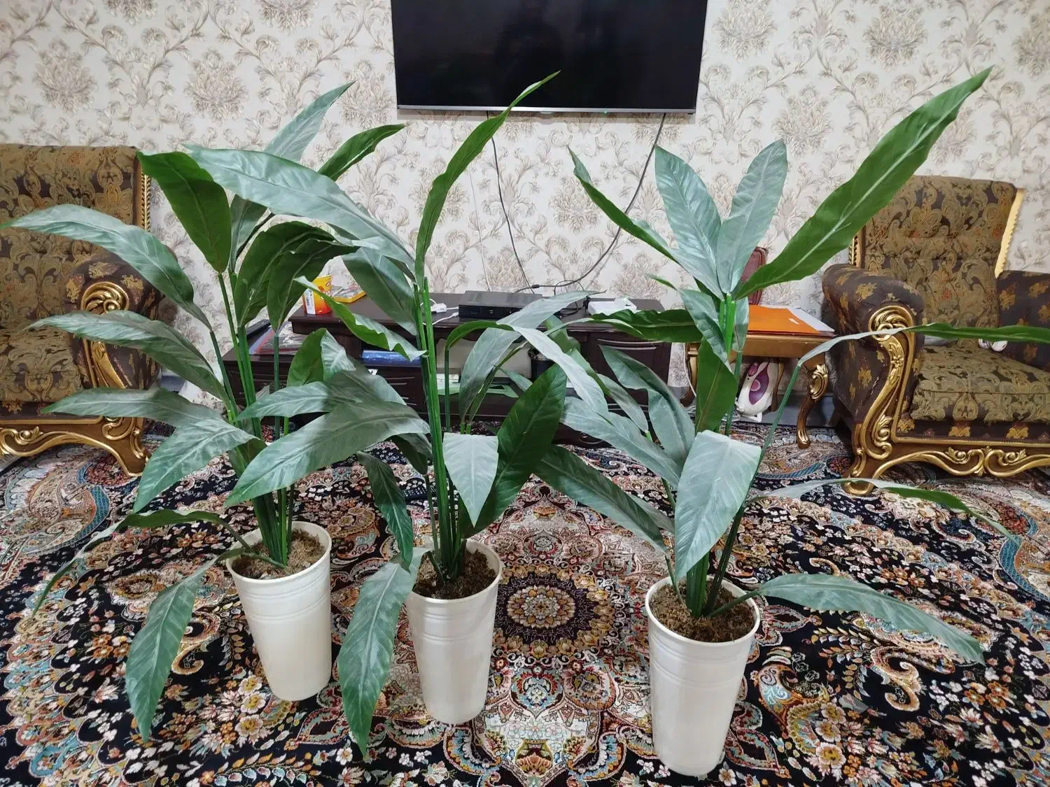 گل و گلدان|گل مصنوعی|بهارستان, |دیوار