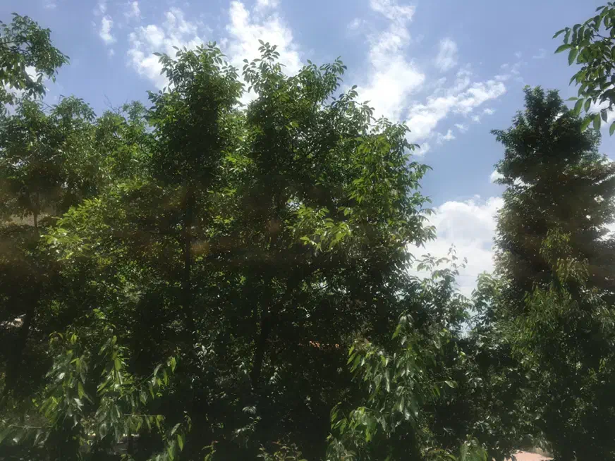 رودهن نمیر رهن اجاره سالیانه ویلا ۵۰۰ متر|اجارهٔ خانه و ویلا|رودهن, |دیوار