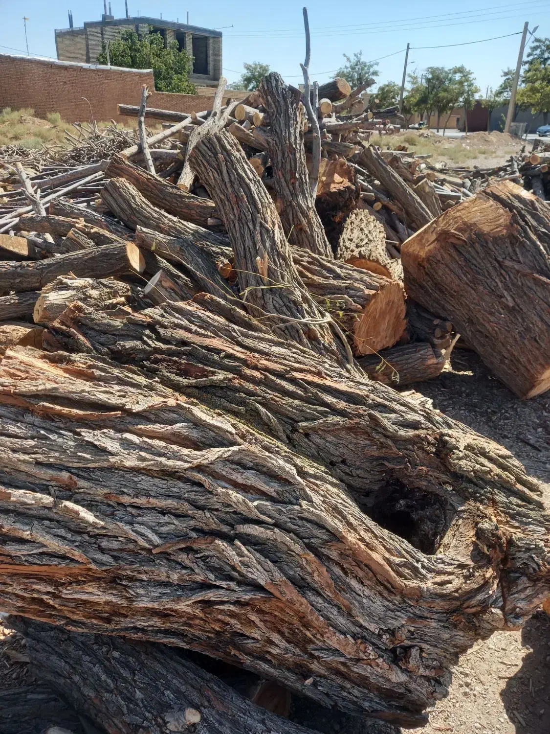 خرید چوب|خدمات باغبانی و درختکاری|آباده, |دیوار