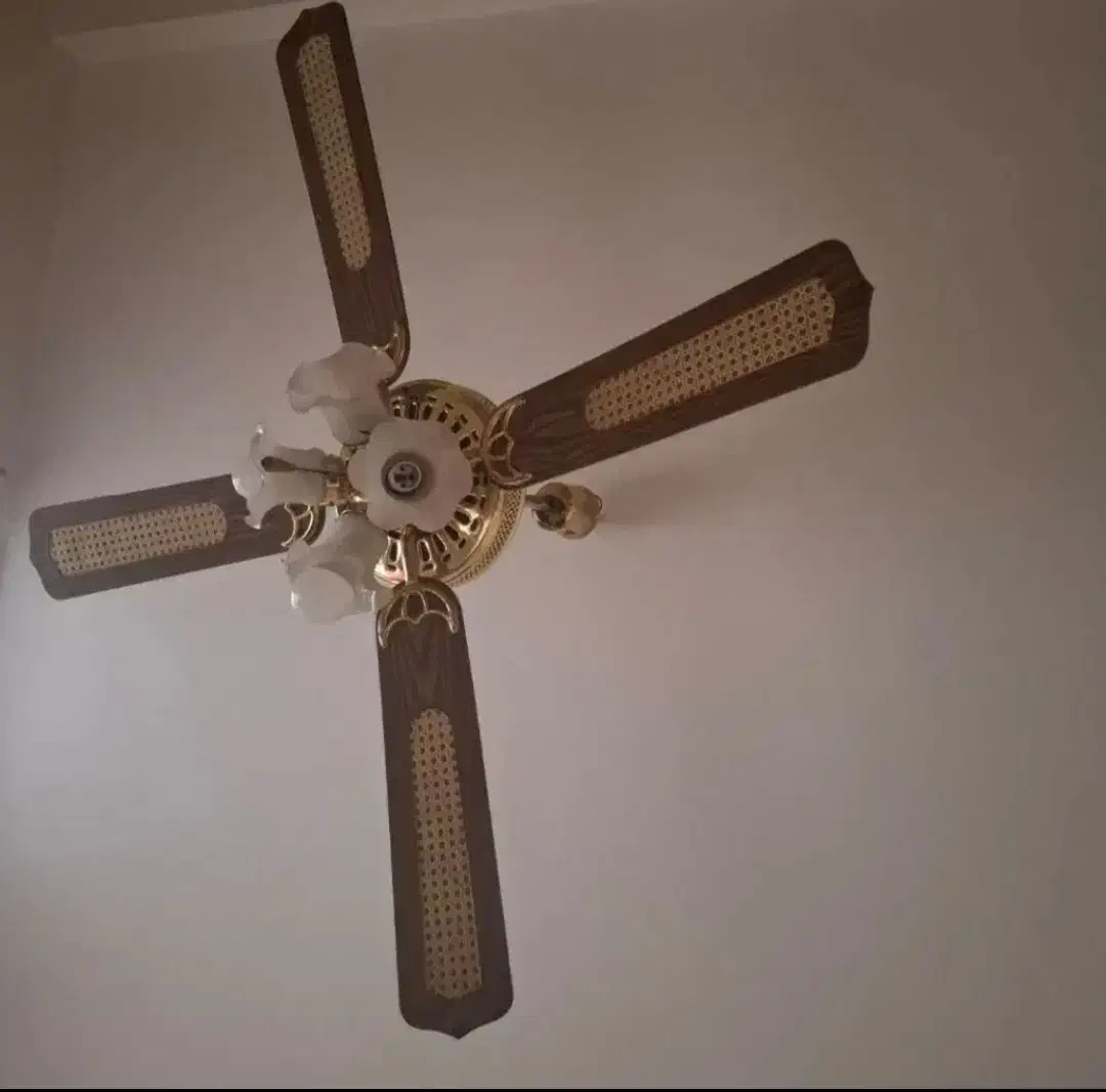 دو عدد پنکه چوبی اصل|پنکه و تصفیهکنندهٔ هوا|ایذه, |دیوار