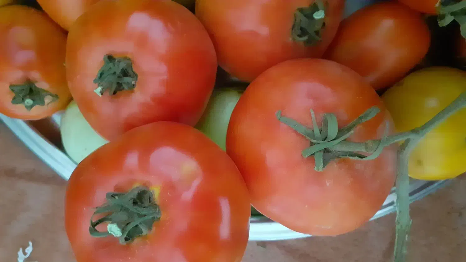 رب تازه|خوردنی و آشامیدنی|بستان آباد, |دیوار