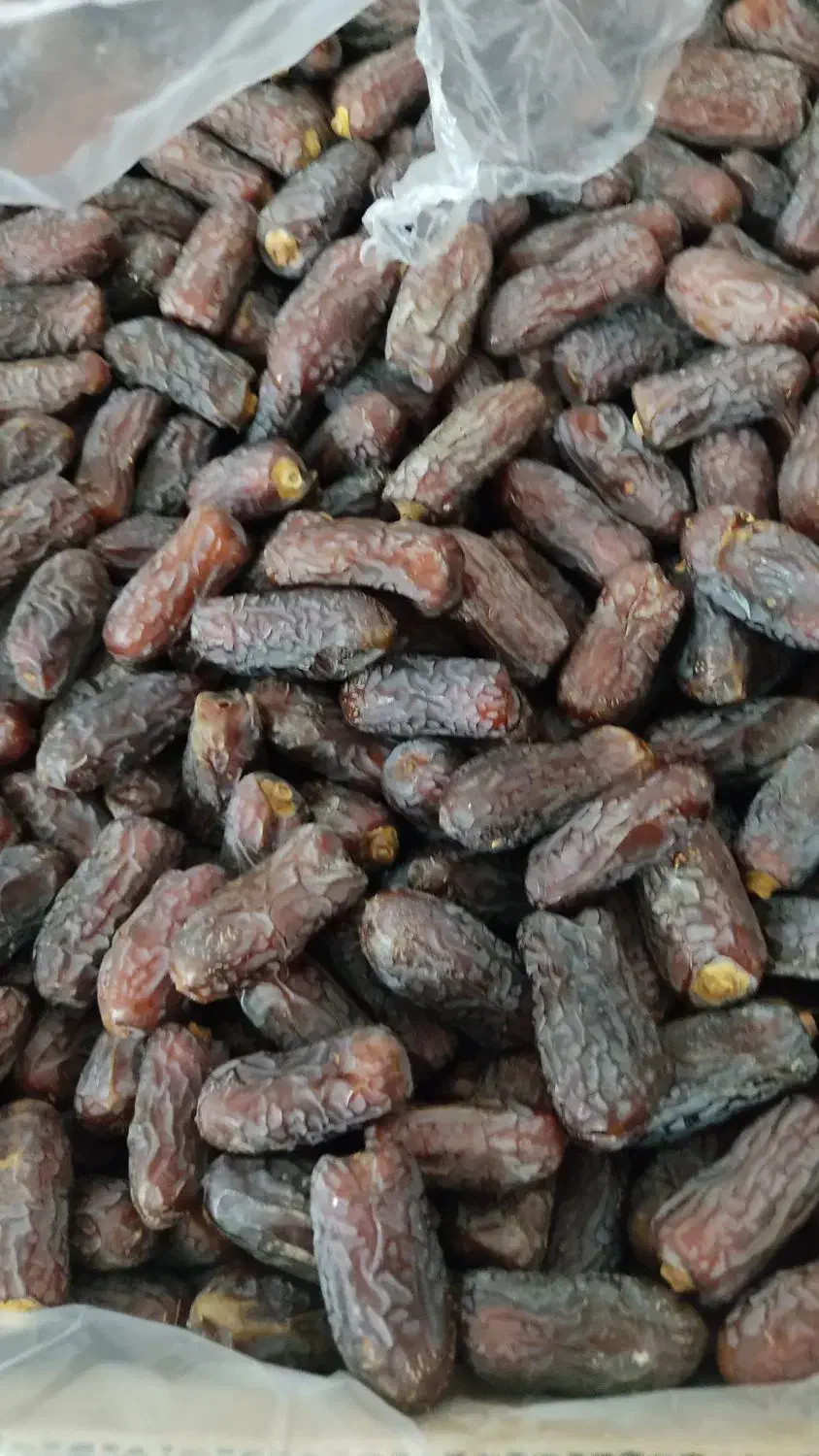 خرمای درجه یک پیارم حاجی آباد|حراج|حاجی آباد, |دیوار