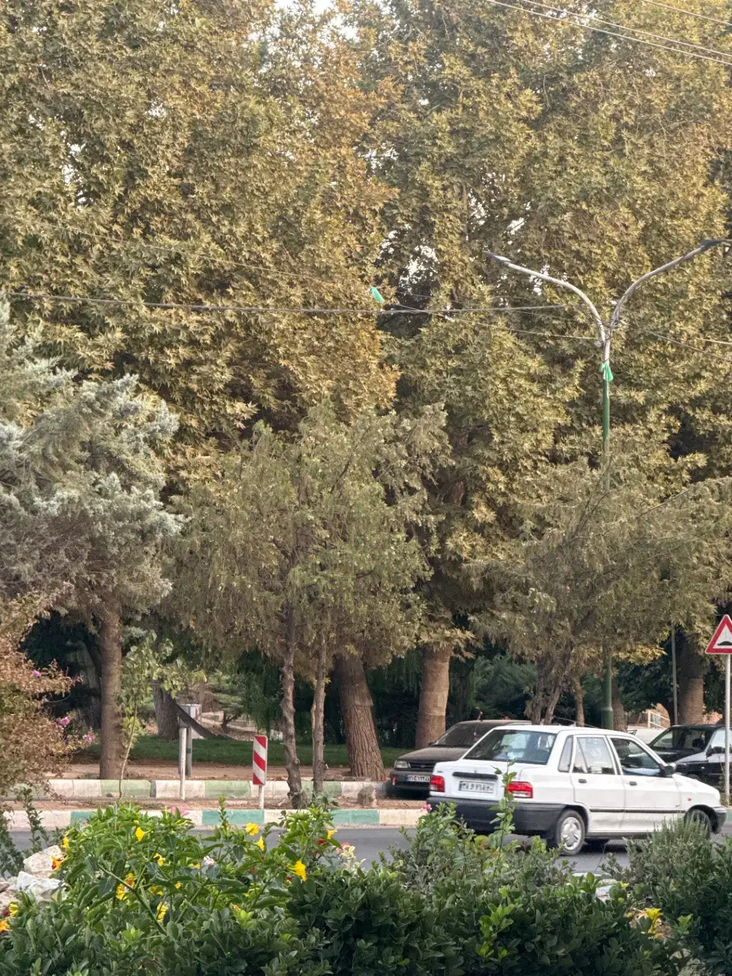 زمین فاز ۲شهر جدید هشتگرد|فروش زمین و ملک کلنگی|هشتگرد, فاز ۲ مهستان|دیوار