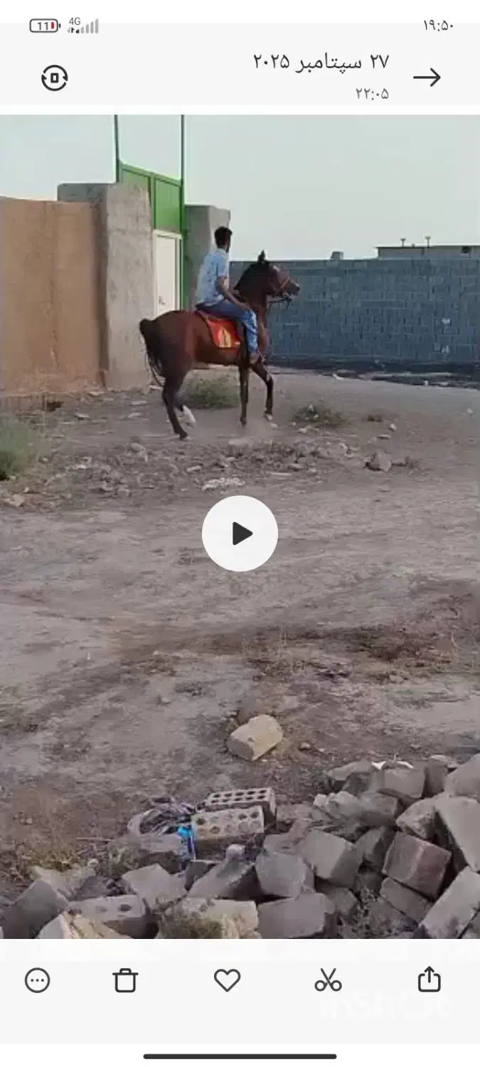 اسب خوبی است|اسب و تجهیزات اسب‌سواری|رفسنجان, |دیوار