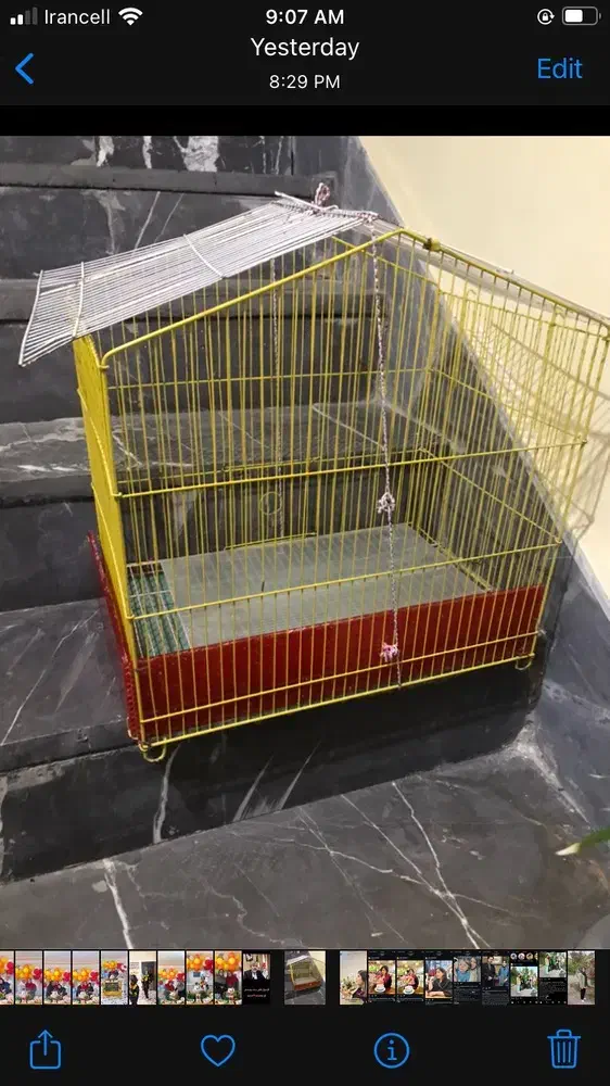 قفس پرنده|لوازم جانبی حیوانات|هشتگرد, فاز ۱ مهستان|دیوار