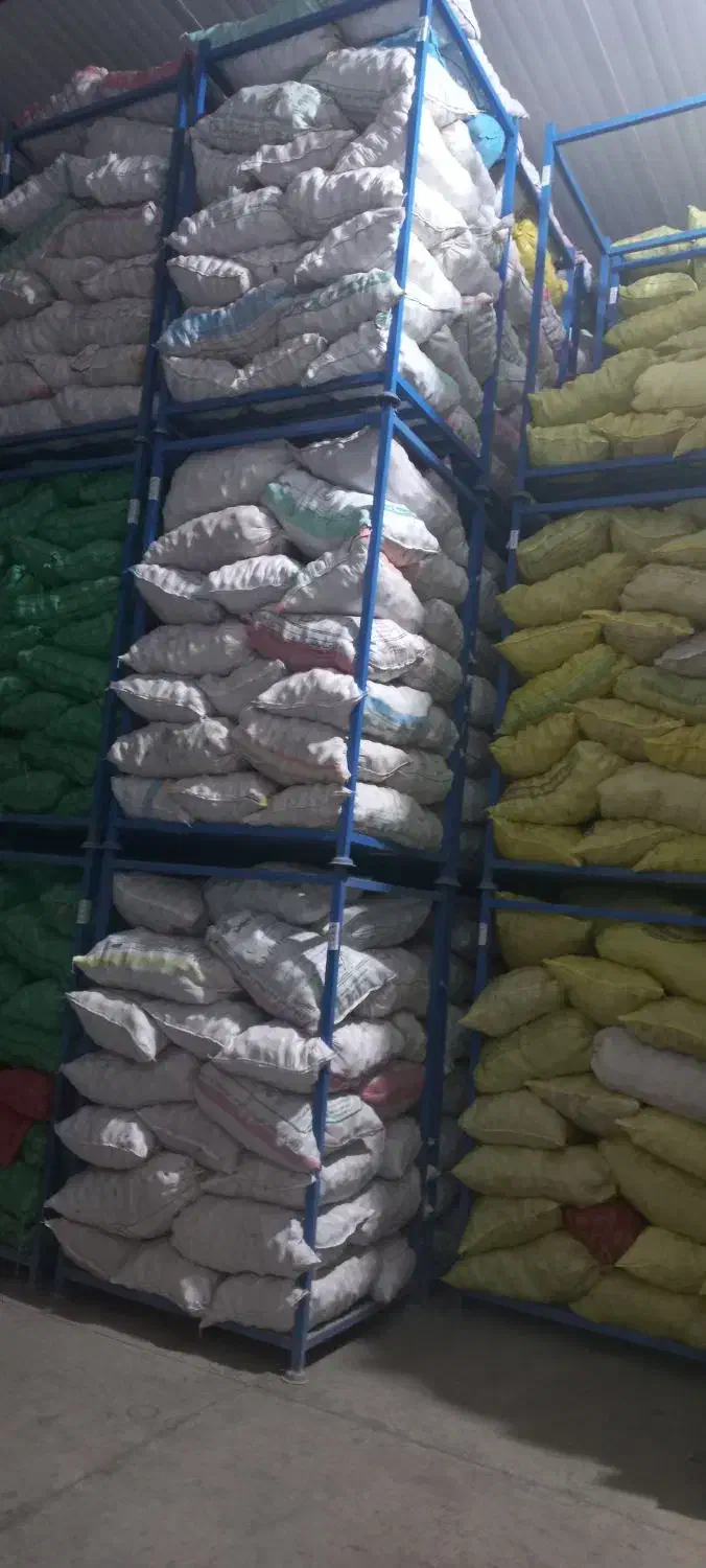 بذر وارداتی ۴۰۲ و ۴۰۳ سیب زمینی در بهار همدان|خدمات باغبانی و درختکاری|اردبیل, |دیوار