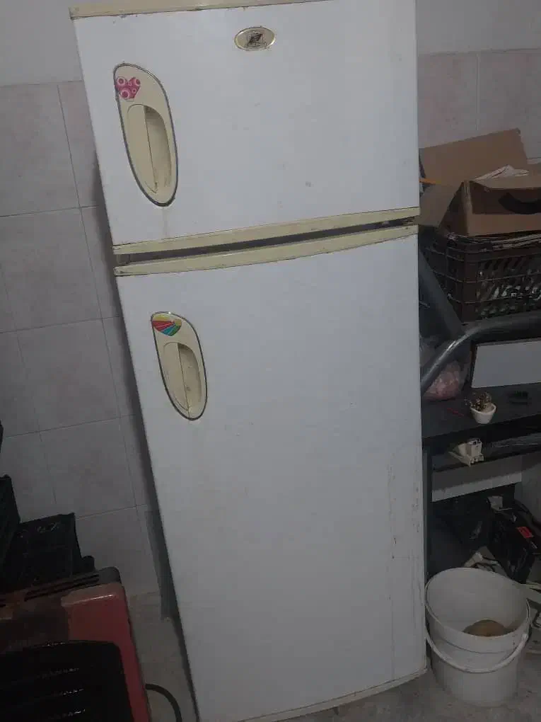 یخچال|یخچال و فریزر|ساری, |دیوار