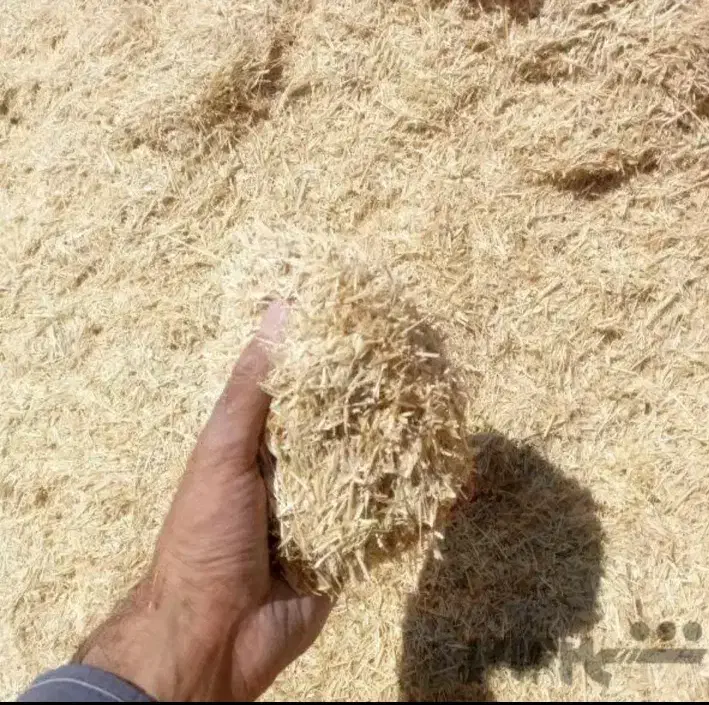 کاه گندم نونو ۱۶ باک|لوازم جانبی حیوانات|خرمآباد, |دیوار