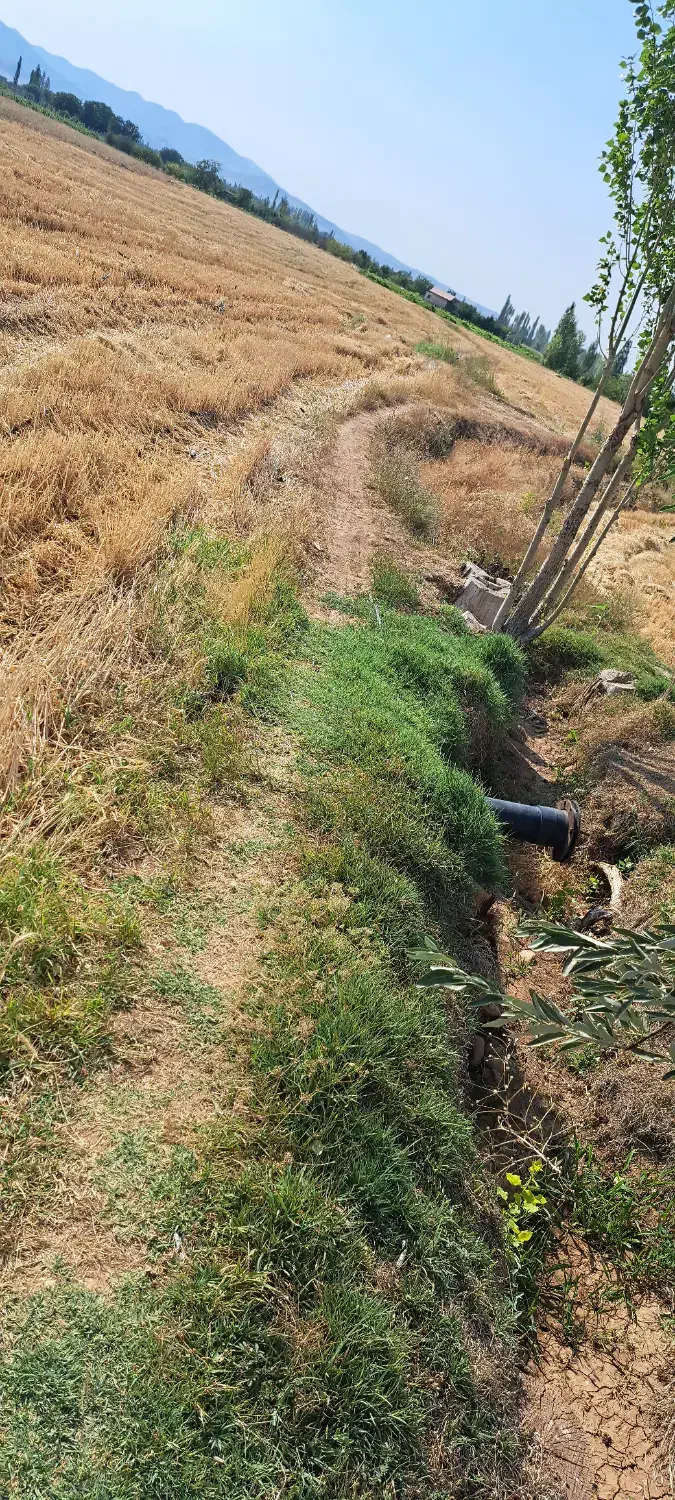 1.4 هکتار زمین زراعی- ارزان و فوری|فروش دفتر صنعتی، کشاورزی، تجاری|خرمدره, |دیوار