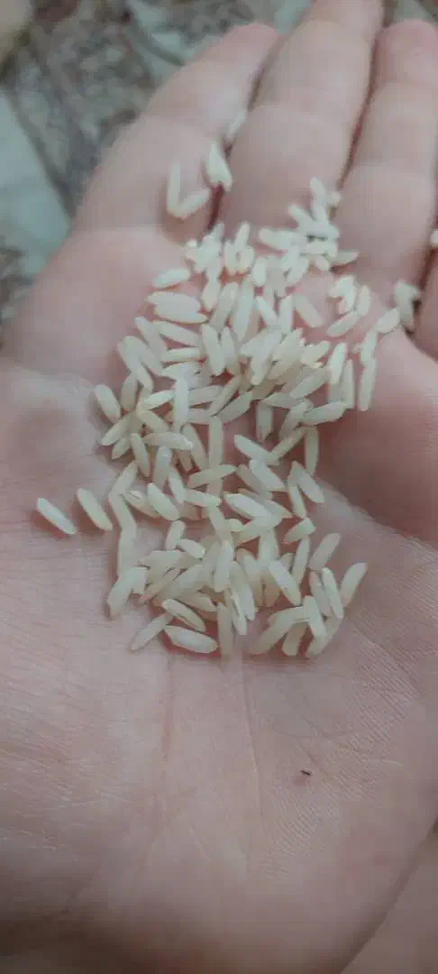 فروش فوق العاده برنج عمده|خوردنی و آشامیدنی|تهران, ایرانشهر|دیوار